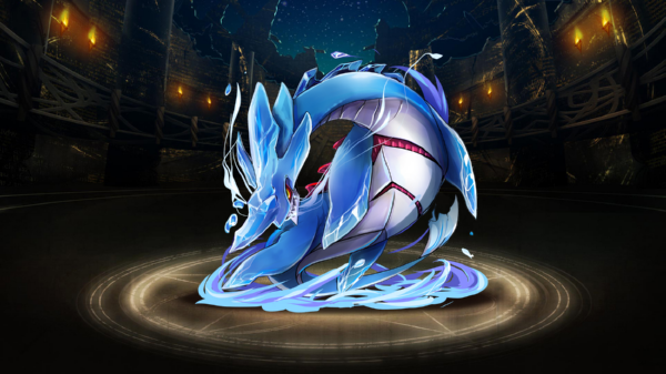 Pet043