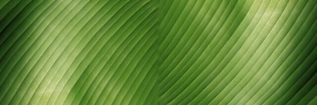 File:Background image.jpg