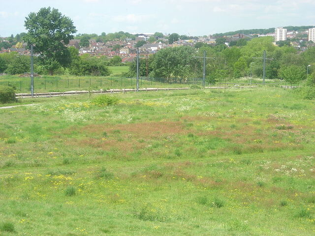 File:Countrypark.jpg