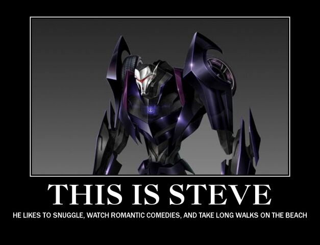 Plik:Steve.jpg