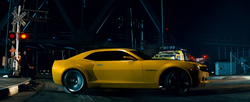 Bumblebee vlucht weg.png