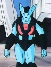 Rabbitkid