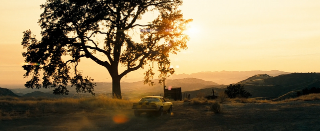 Bestand:Bumblebee en de zonsondergang.png