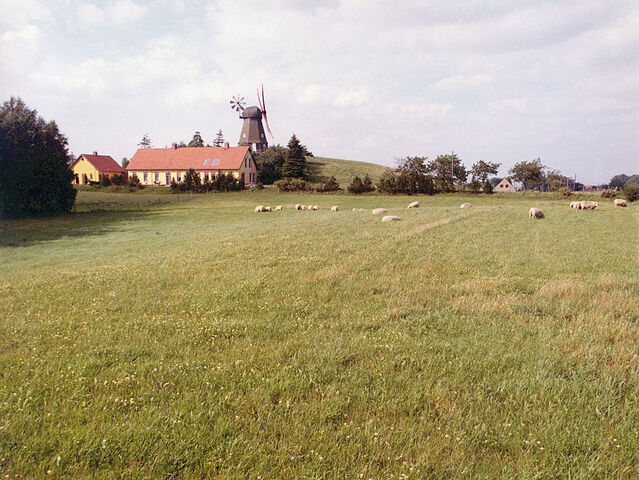 File:KarleboL.jpg