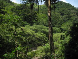 MontaƱas de la Sierra de Agalta