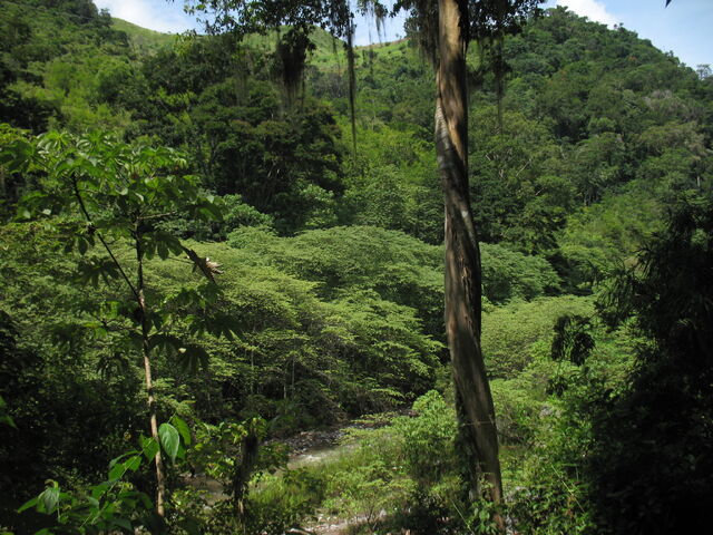 File:Montañas de la Sierra de Agalta.jpg