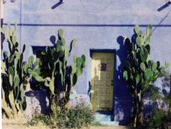 Tuscon House