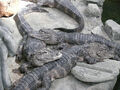 Thumbnail for version as of 03:28, September 7, 2011