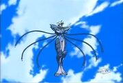 Elico