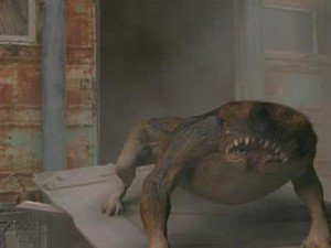 30256