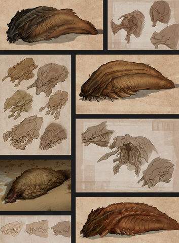 File:African Graboid (35).jpg