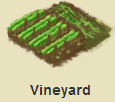 Vineyard