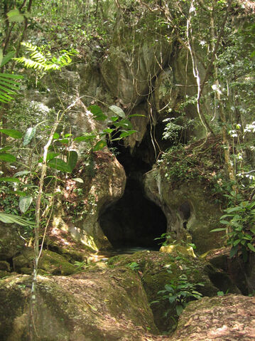 File:BlackForestCave.jpg