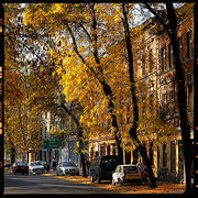 Autumninthecity