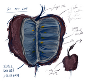 Blood fruit