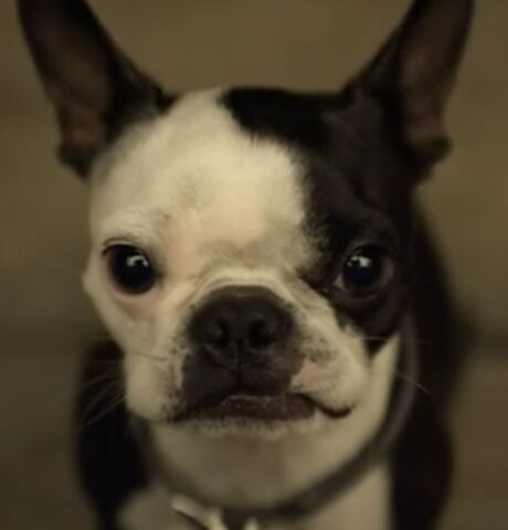 File:Marv1.jpg