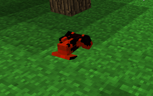 Red tree frog