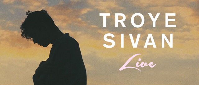 File:TroyeSivanLive.jpg
