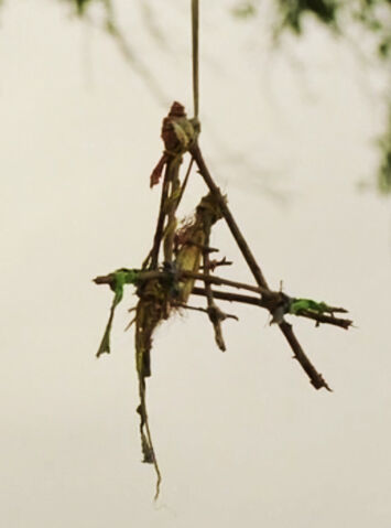 File:True-Detective-Wikia S01-E01 Clue Cajun-bird-trap Dora 02.jpg