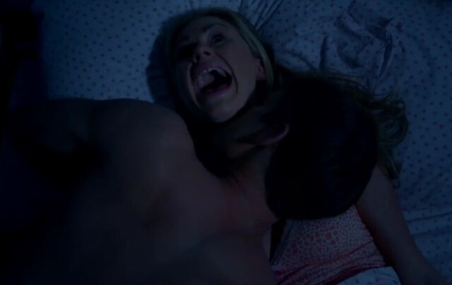 Fichier:4x05.jpg