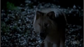 Thumbnail for version as of 22:19, January 25, 2012