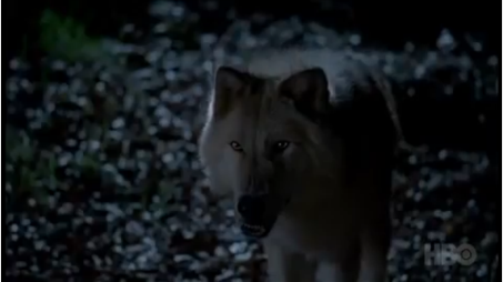 File:WerewolfNew Picture (1).png