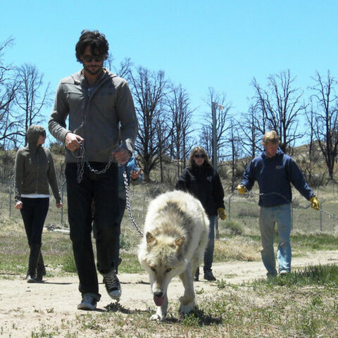 File:Joe-Thunder.jpg