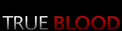 File:Wiki-wordmark1.png