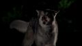 Thumbnail for version as of 03:17, August 23, 2011