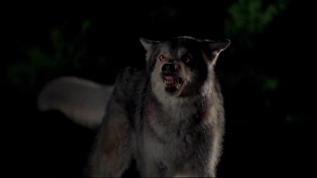 File:Gus.jpg