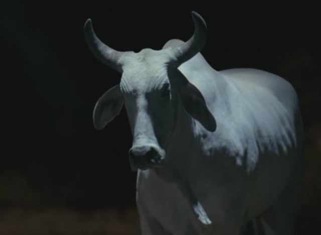 File:Sam 01.png
