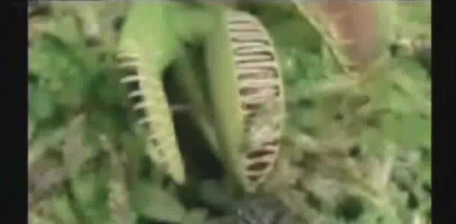 File:OP-credits066.png