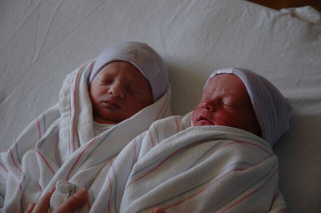 File:Grant & Wyatt Ollivier.jpg