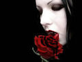 Thumbnail for version as of 18:03, May 15, 2010