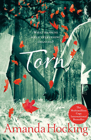 File:Torn.jpg