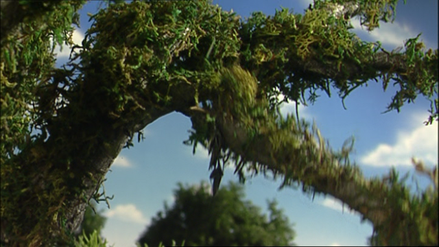 File:DuncanDropsaClanger65.png