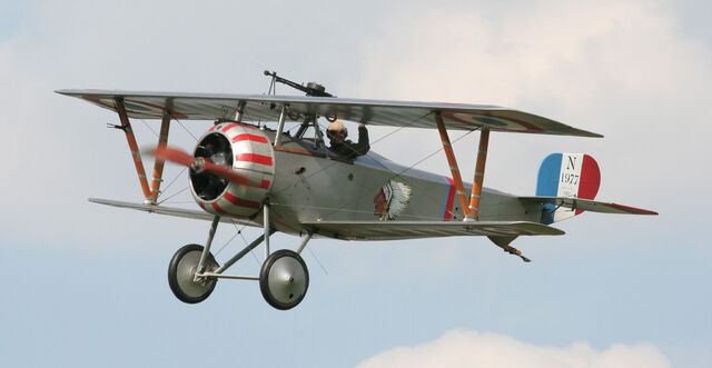 File:TigerMothBasis.jpeg