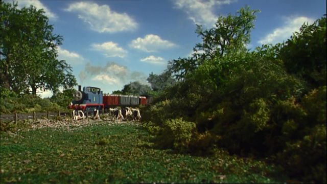 File:Thomas'MilkshakeMuddle58.png