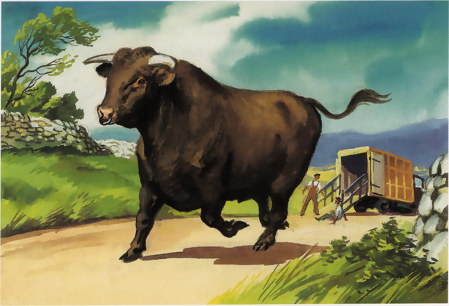 File:BullsEyesRS3.png
