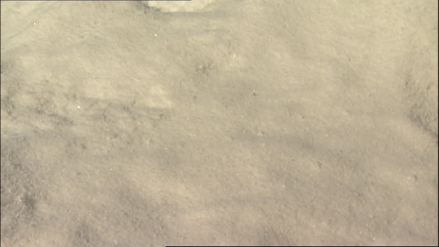 File:GordonTakesCharge66.png