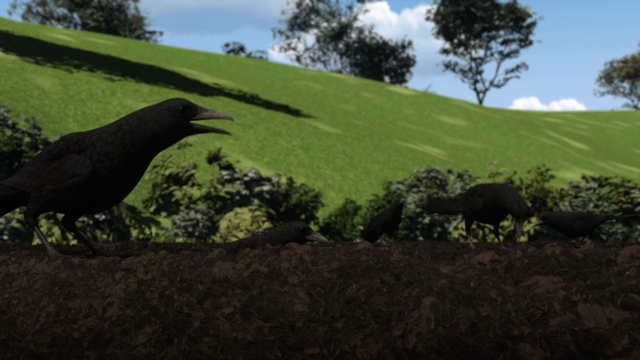 File:ThomasTootstheCrows18.png