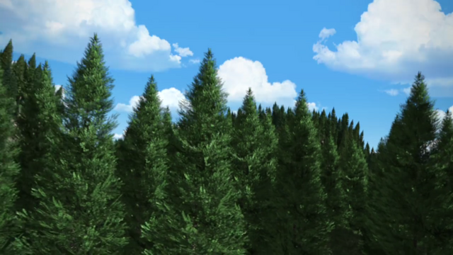 File:TheThomasWay5.png