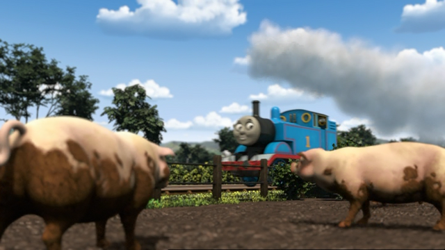 File:ThomasAndThePigs9.png