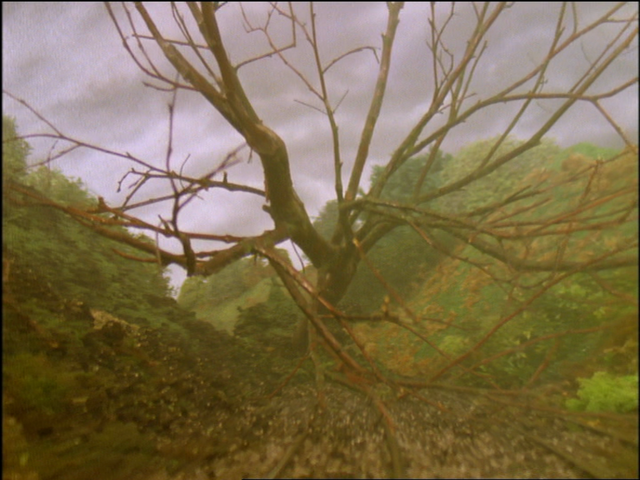 File:JamesandtheTroublewithTrees75.png