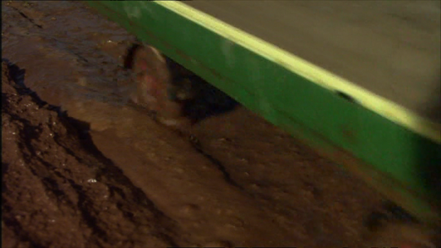 File:WashBehindYourBuffers38.png