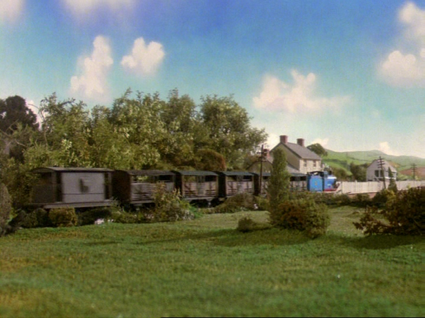 File:Cows3.png