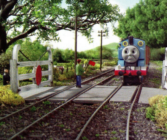 File:ThreeCheersforThomas70.png
