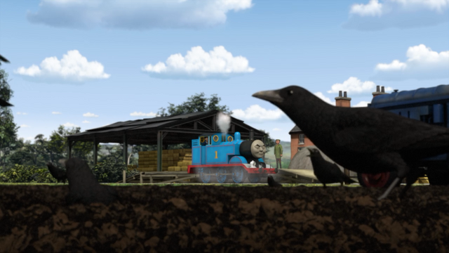 File:ThomasTootstheCrows84.png