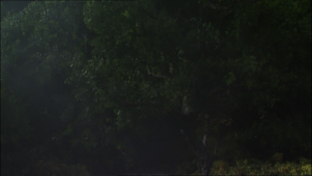 File:ThomasandtheShootingStar31.png