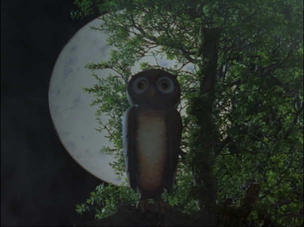 File:Boo,Boo,Choo,Choo10.png